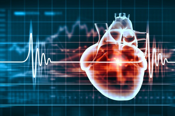 Santé : Les maladies cardiovasculaires, comment les prévenir ?